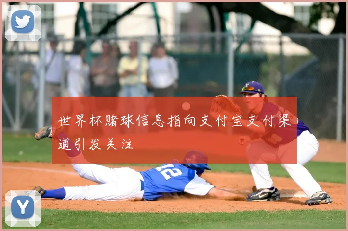 世界杯赌球信息指向支付宝支付渠道引发关注