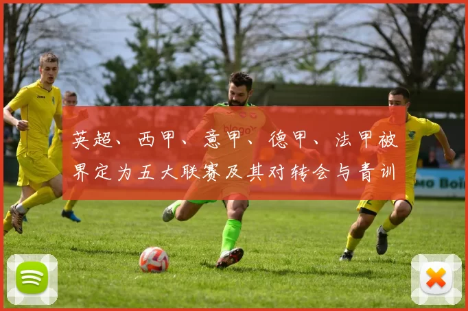 英超、西甲、意甲、德甲、法甲被界定为五大联赛及其对转会与青训影响