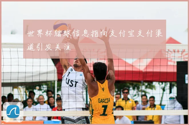 世界杯赌球信息指向支付宝支付渠道引发关注