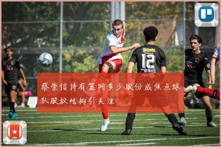 蔡崇信持有篮网多少股份成焦点球队股权结构引关注