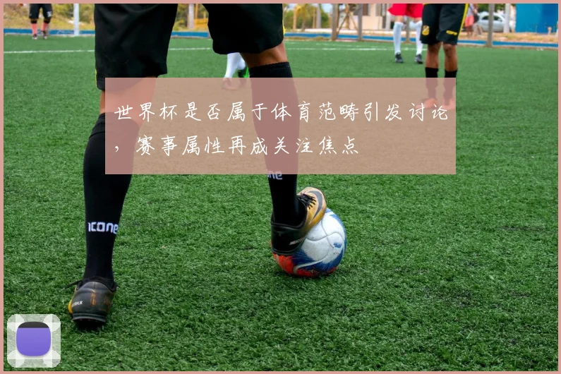 世界杯是否属于体育范畴引发讨论，赛事属性再成关注焦点