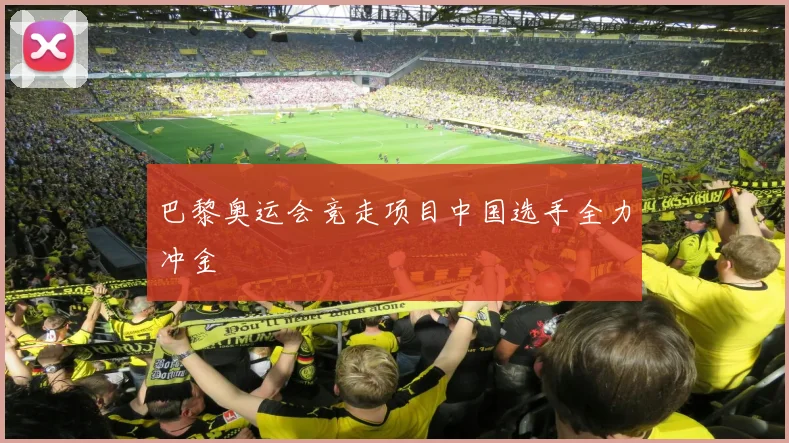 巴黎奥运会竞走项目中国选手全力冲金